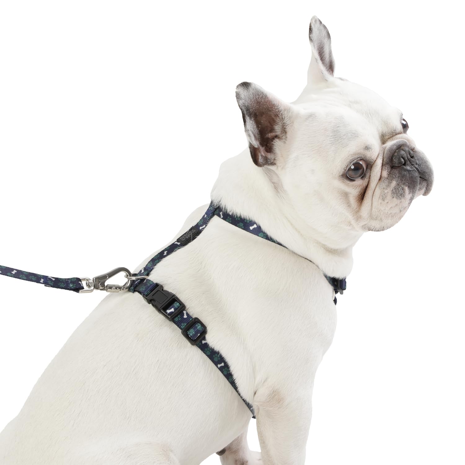 TOTTO, Small Dog Harness, Model Figgo, Size S, Dog Breastplate, H-Type Design, Adjustable, Reduces Pressure in Trachea - Image 4