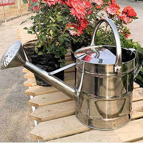 Arrosoir en acier inoxydable 8 L/12 L en acier galvanisé avec revêtement antirouille pour jardin et plantes vertes