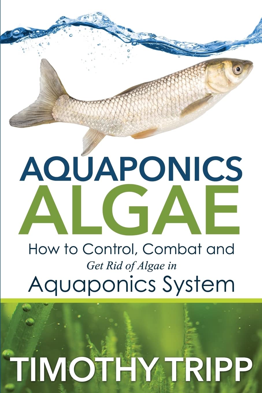 Aquaponics Algae How to Control, Combat and Get Rid of Algae in