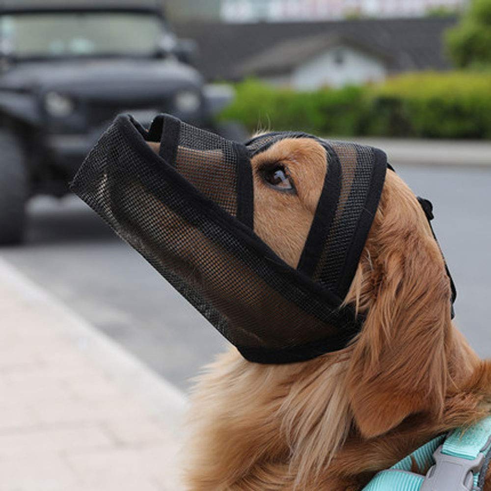 Bozal para perro – Protector bucal protector y portátil para entrenamiento y uso veterinario