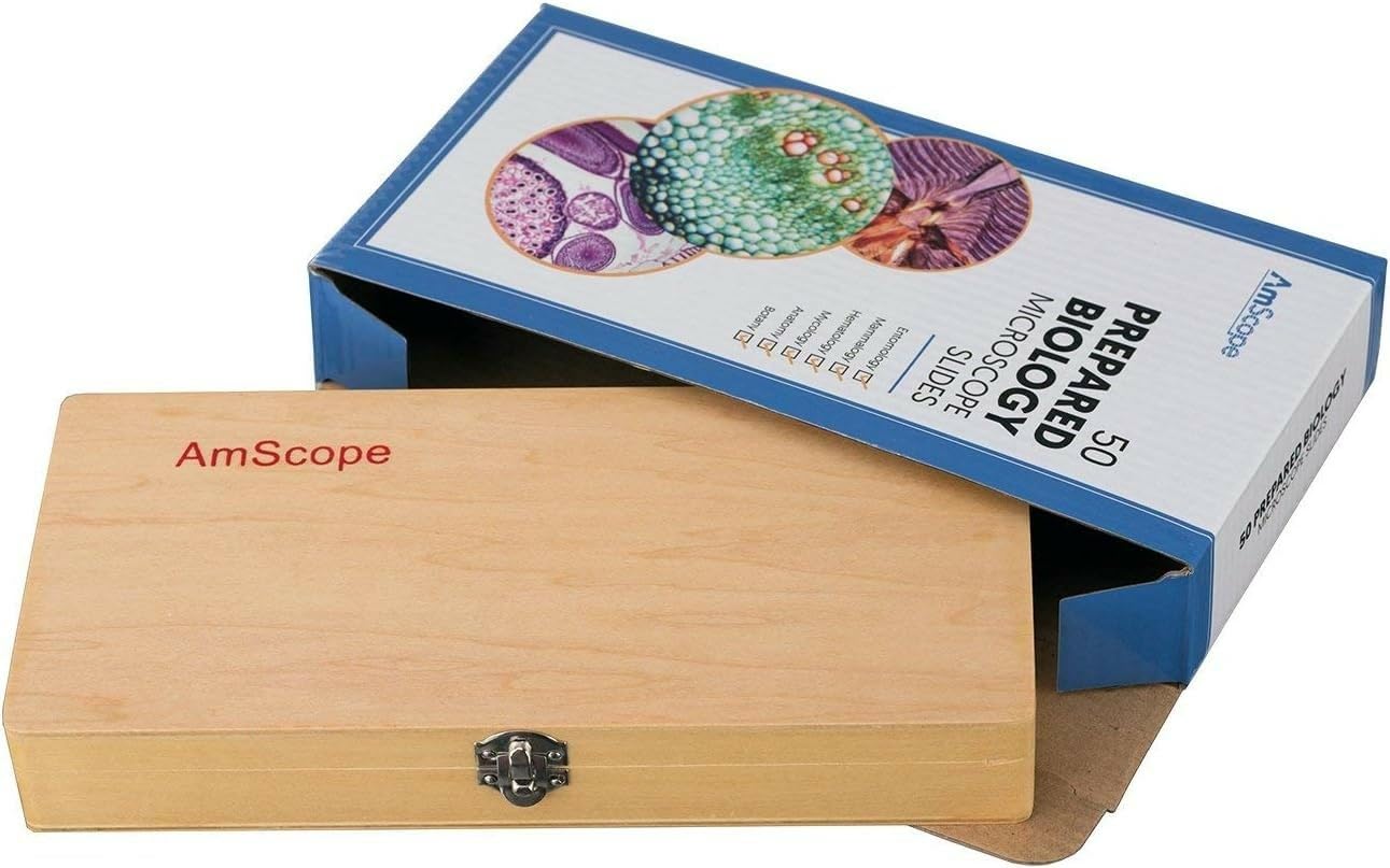 AmScope PS50 Lot de 50 lames de microscope préparées pour l'éducation scientifique biologique de base, avec étui en bois