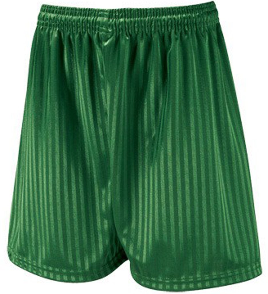 David Luke School Uniform Shadow Stripe Long Leg Boys Shorts Bottle 34-36"
