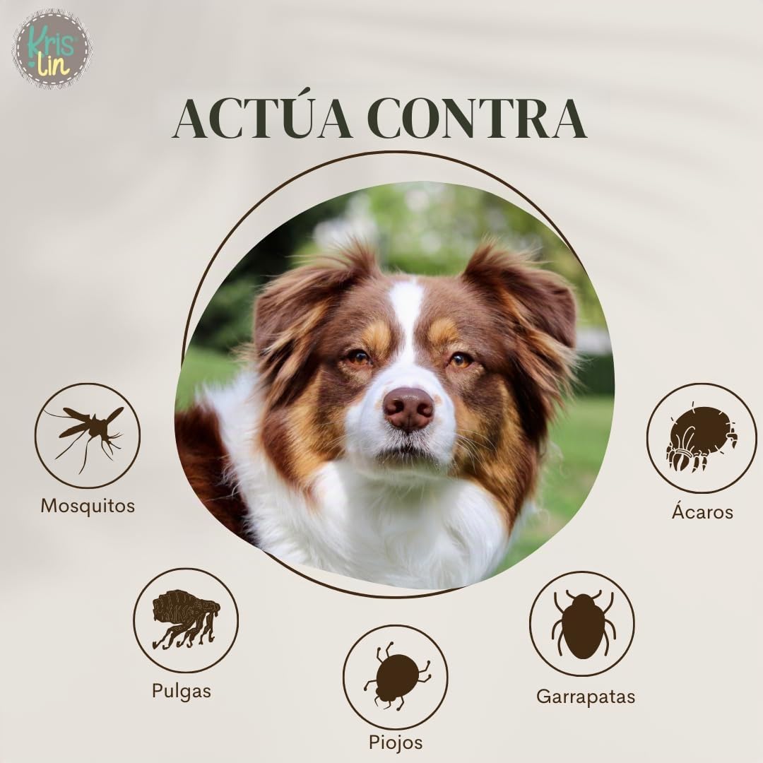 Pack de 24 Pipetas Anti-Insectos para Perros con Margosa, Geraniol y Lavandino | contra Pulgas, Garrapatas, Mosquitos y flebótomos | Único | 1,5 ml