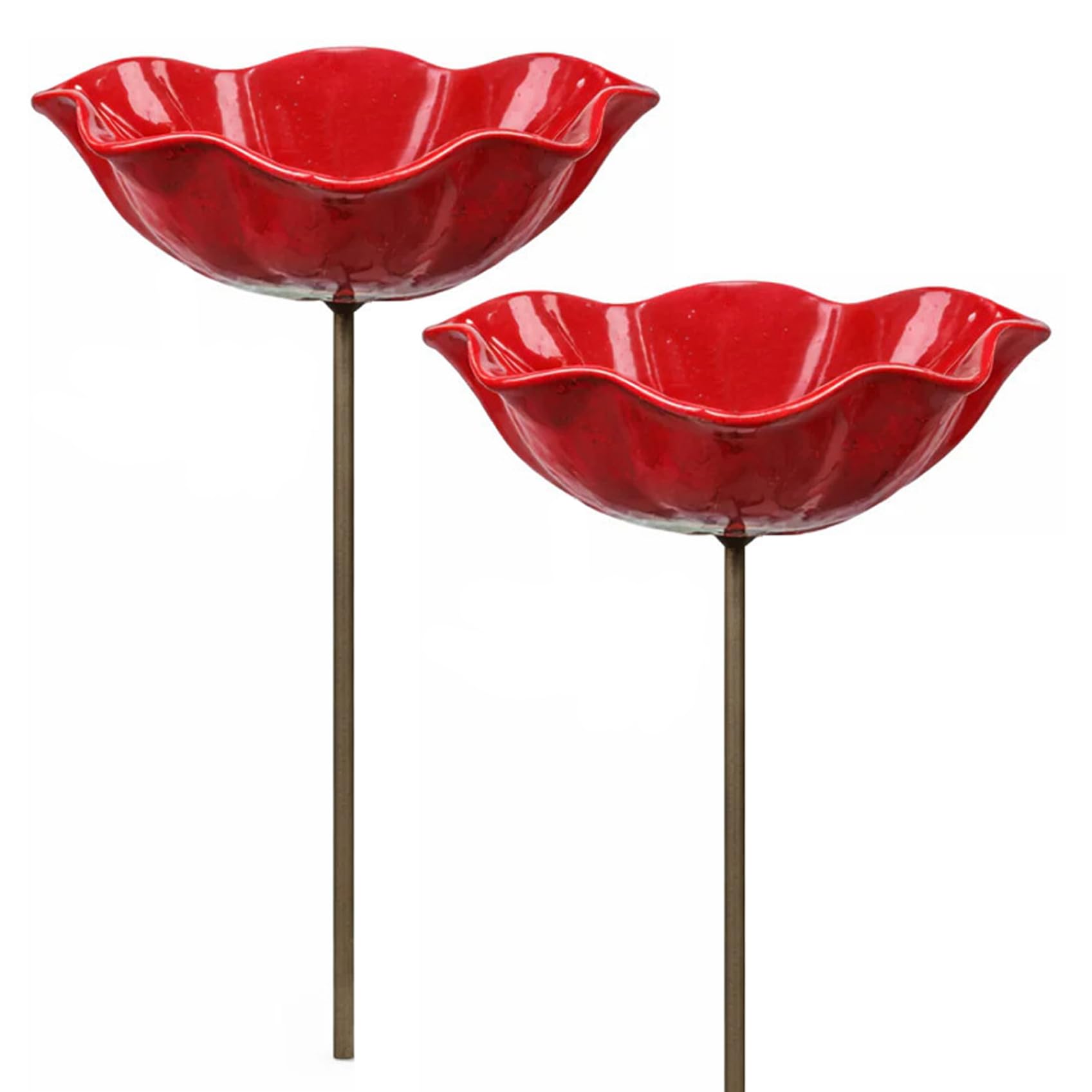 Bain pour colibris et station d'arrosage pour abeilles pour animer votre arrière-cour