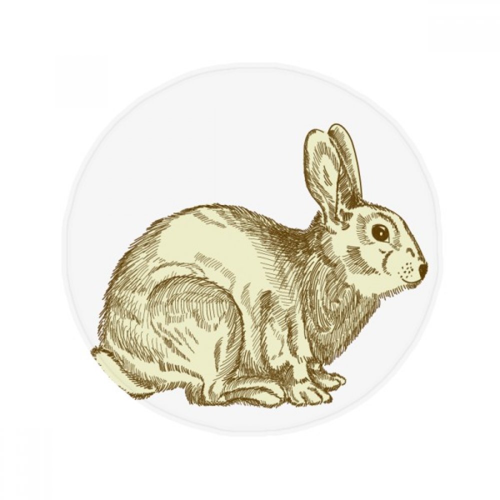 Tapis de sol lapin de Pâques 50x50cm rond pour salon