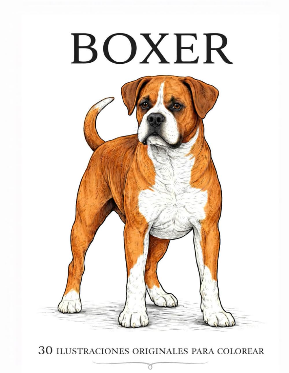 Boxer: 30 ilustraciones originales para colorear
