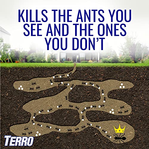Terro 2 Oz Liquid Ant Killer Pack Of 12 T200-12 #TOP6