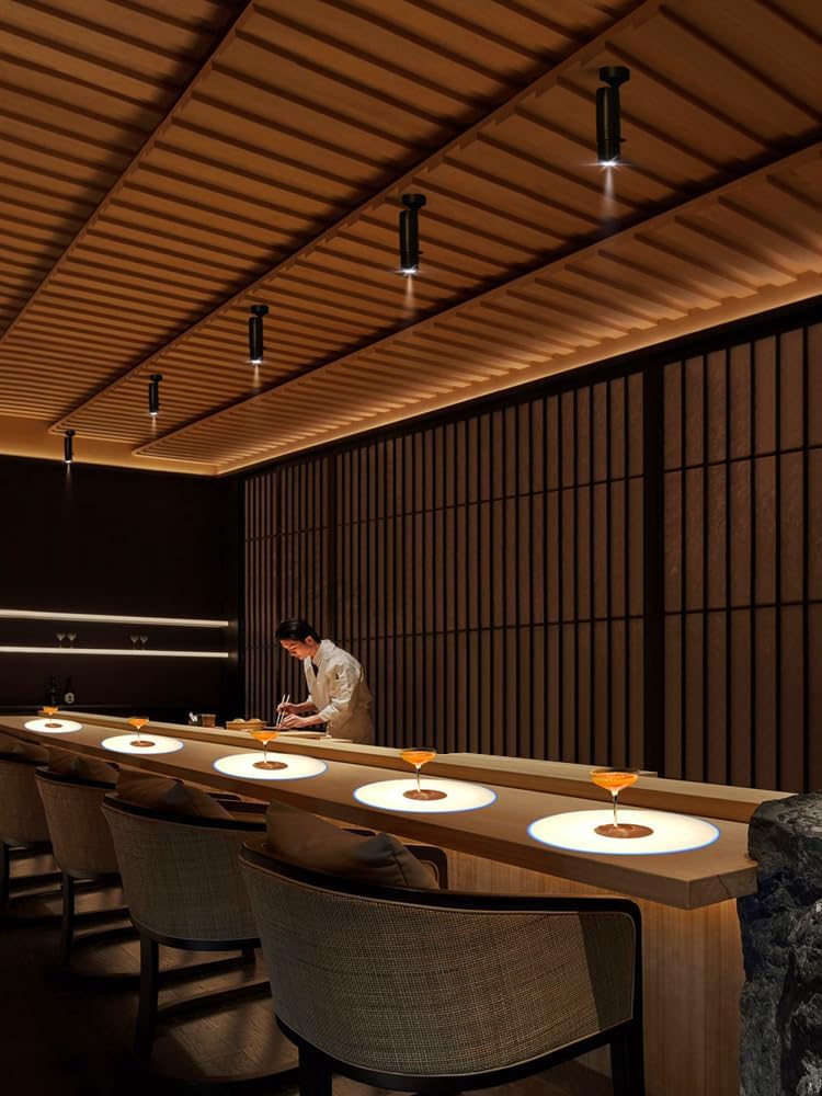 5W LED Fixture Surface Mount Lamp Beam-Angle Adjustable 5-Grade Aperture Focusing Picture Spotlight for Jewelry Shop Black Natural White