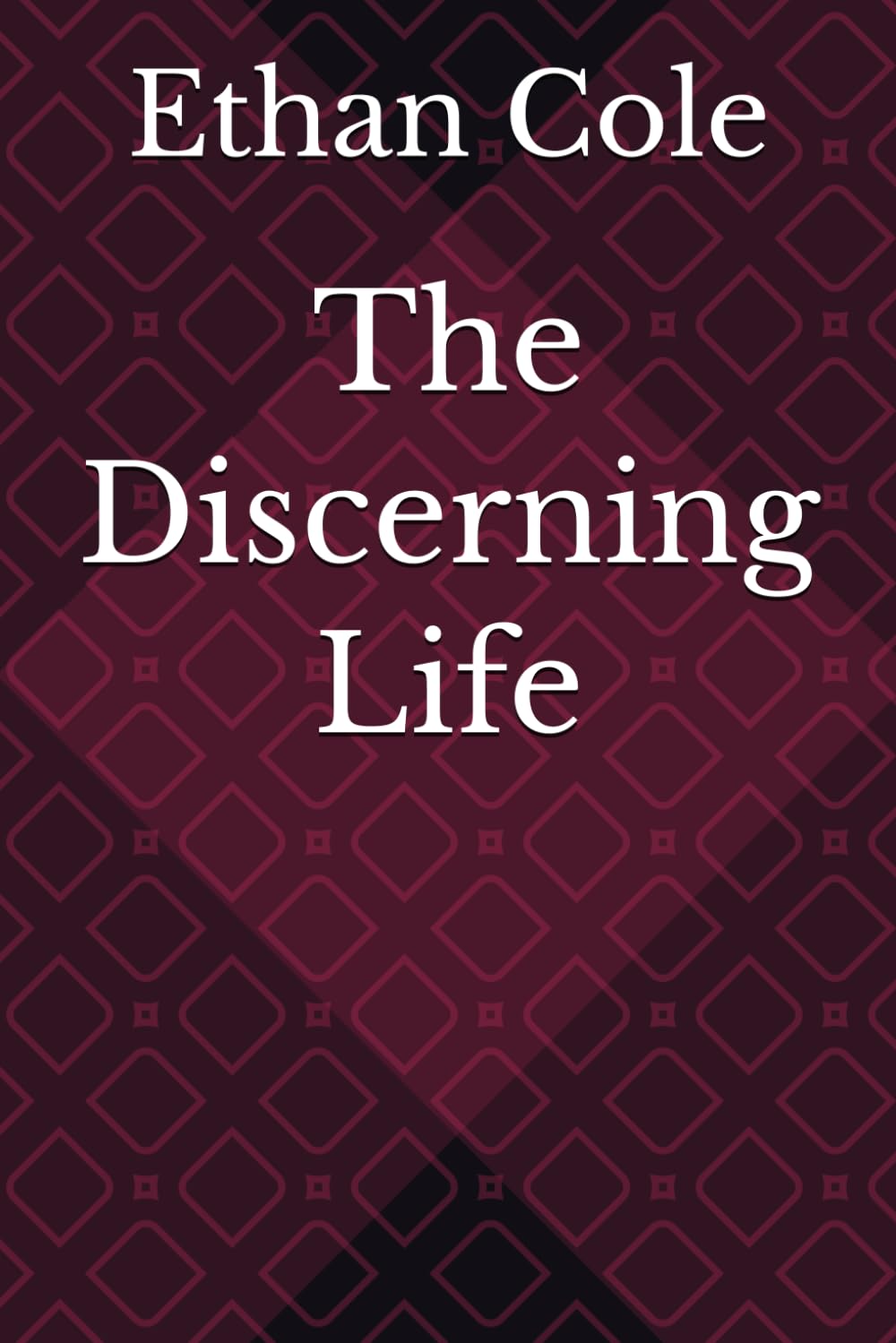 The Discerning Life: 1 (The Clear Boundaries Series)