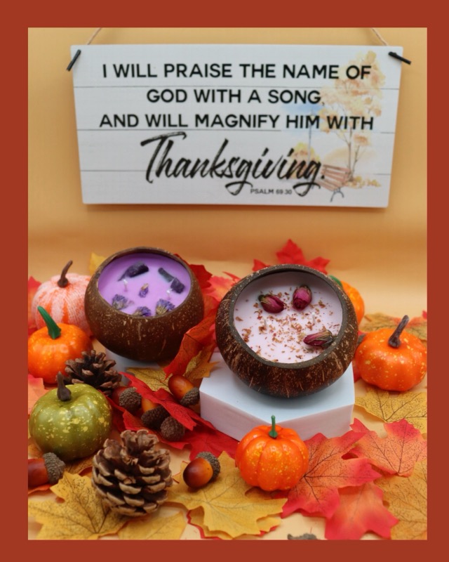 WaxCraft-Coconut-Shell-Candles-Soy-Wax-HolidayHome-DecorGiftHandcrafted-Eco-FriendlyFall-ScentedAromatherapy40-Hours-Burn-timeRose-Magnolia-VanillaDried-Rose-Bud-Petals-116oz