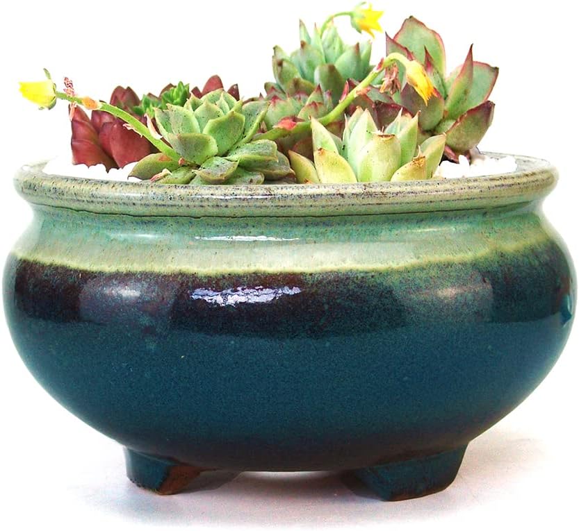 Summer Impressions 7 Inch Glazed Terracotta Plant Pot Round Ceramic Succulent