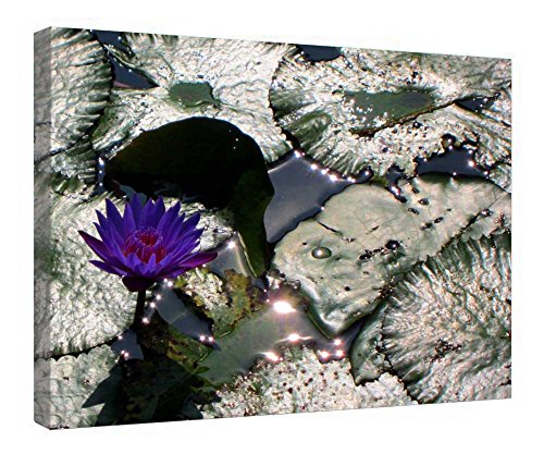 Toile lotus encadrée en bois de qualité supérieure pour mur