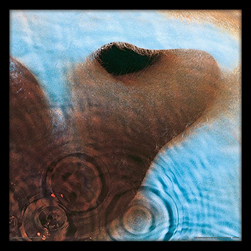 Pink Floyd Meddle Image encadrée pour décorer votre salon rock avec style