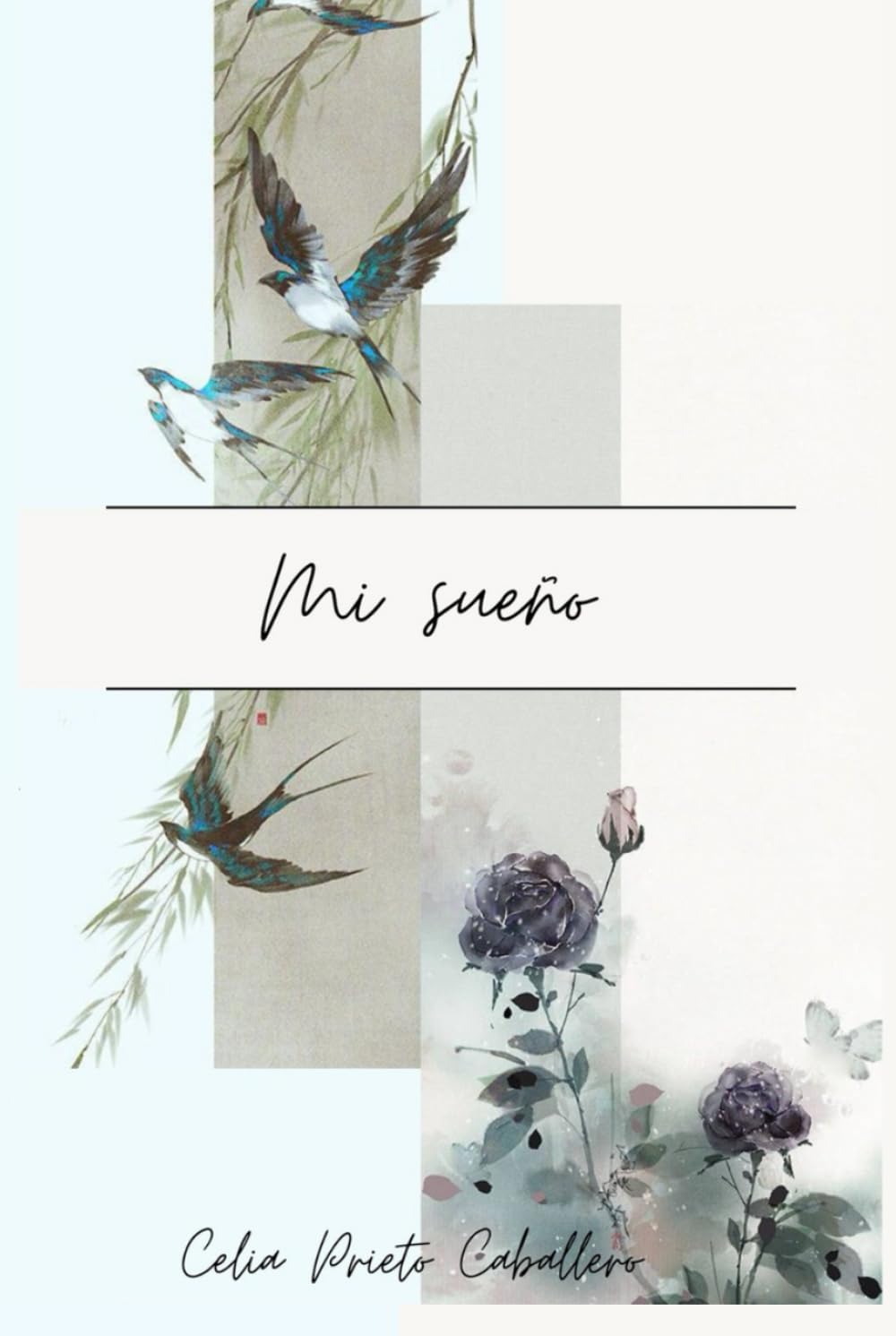 Mis Sueños