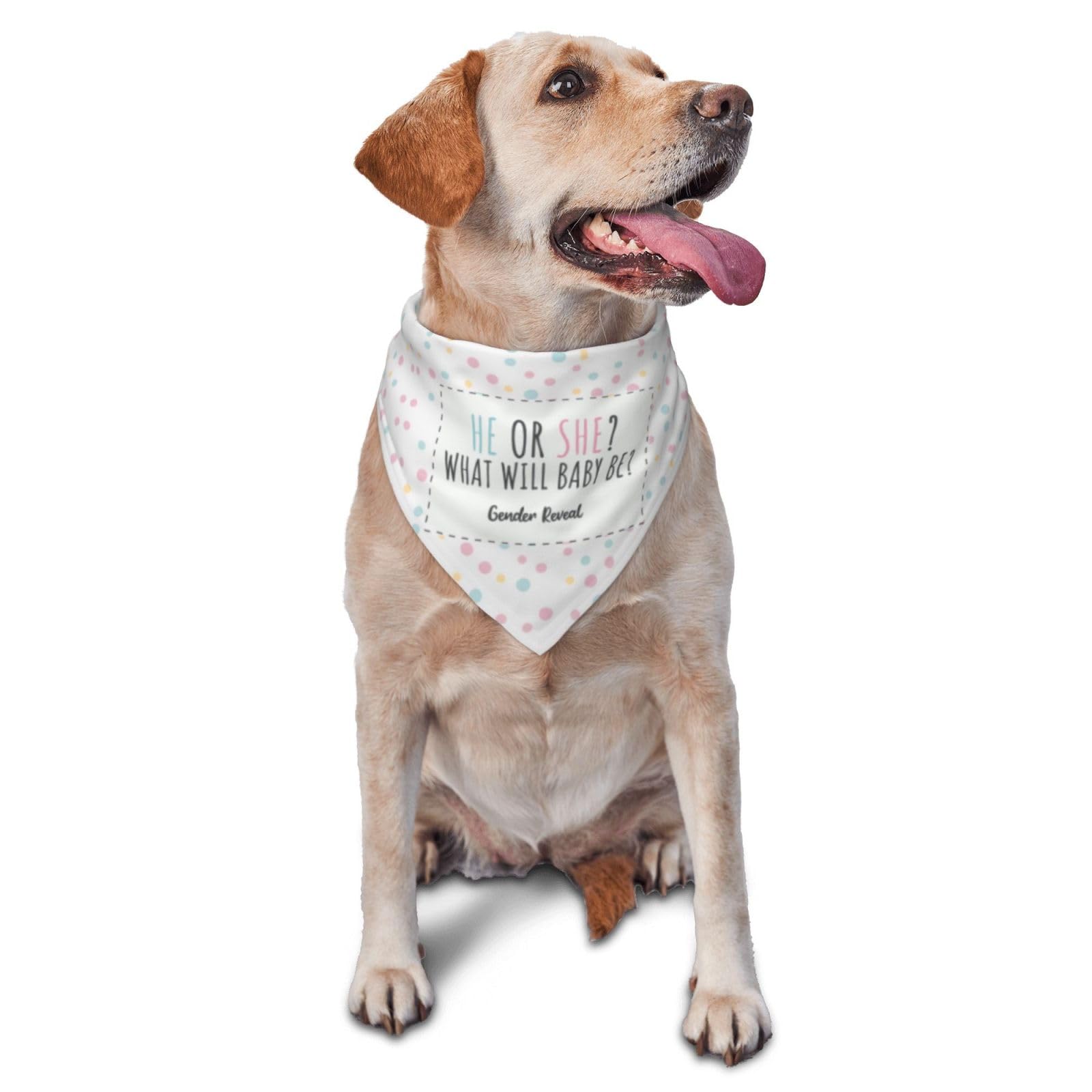 vercosee He Or She What Will It Be? Gender Reveal/Baby Announcement Dog Bandana,Pet Neckerchief for Pets Daily Wear Photo Prop Party Supplies (White dots)