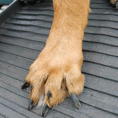 Miniatura 9 de Petstep Rampa plegable auténtica para mascota, KhakiBeige