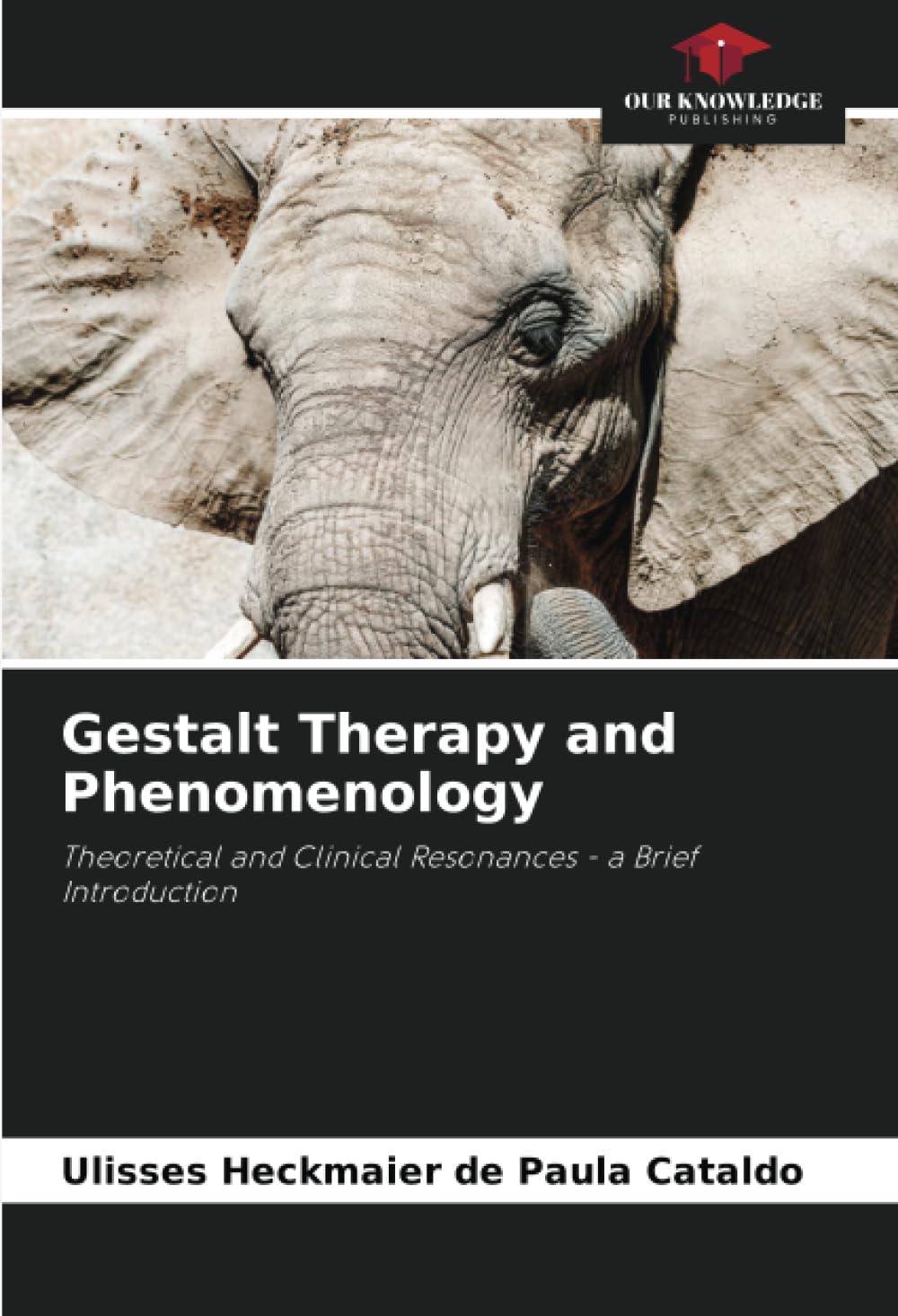 Gestalt Therapy and Phenomenology: Theoretical and Clinical Resonances - a Brief Introduction