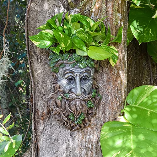 Arcadia Garden Products Tf02 Elderberry Whimsical Face Planter, Outdoor Hugger, Man Spirit Sculpture For Plants, Garden Art Decor, Birdfeeder, Hangs On Trees, Fences Or Walls, Brown #TOP3