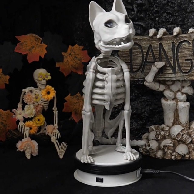 Amazon.co.jp: Milageto リアルな猫の骸骨 ハロウィン骸骨