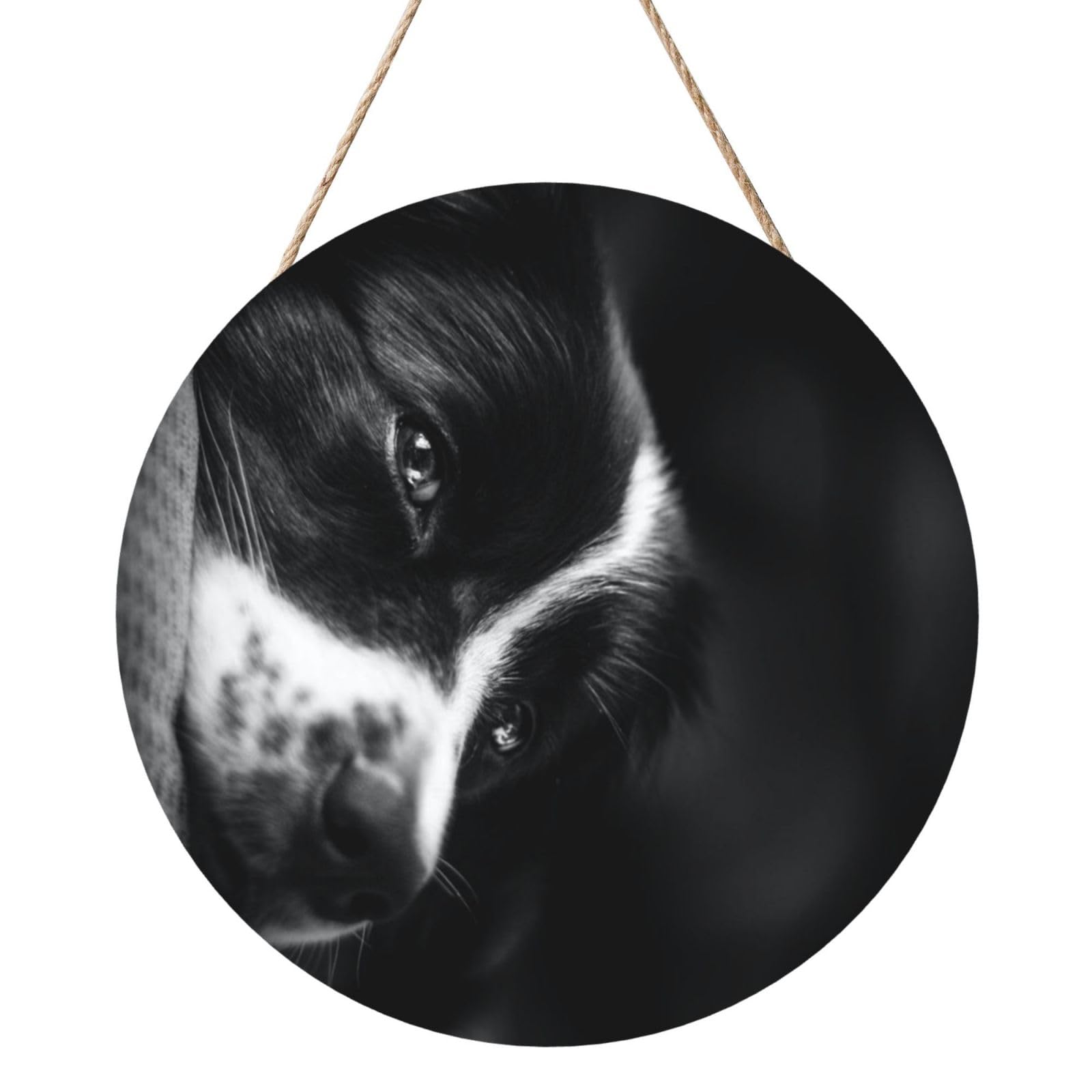 InOmak Border Collie Puppy Dog, Round Wood Panel Painting 12 in, Wall Hanging Painting For Home