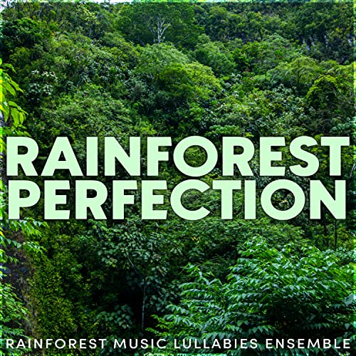Rainforest Music Lullabies Ensemble