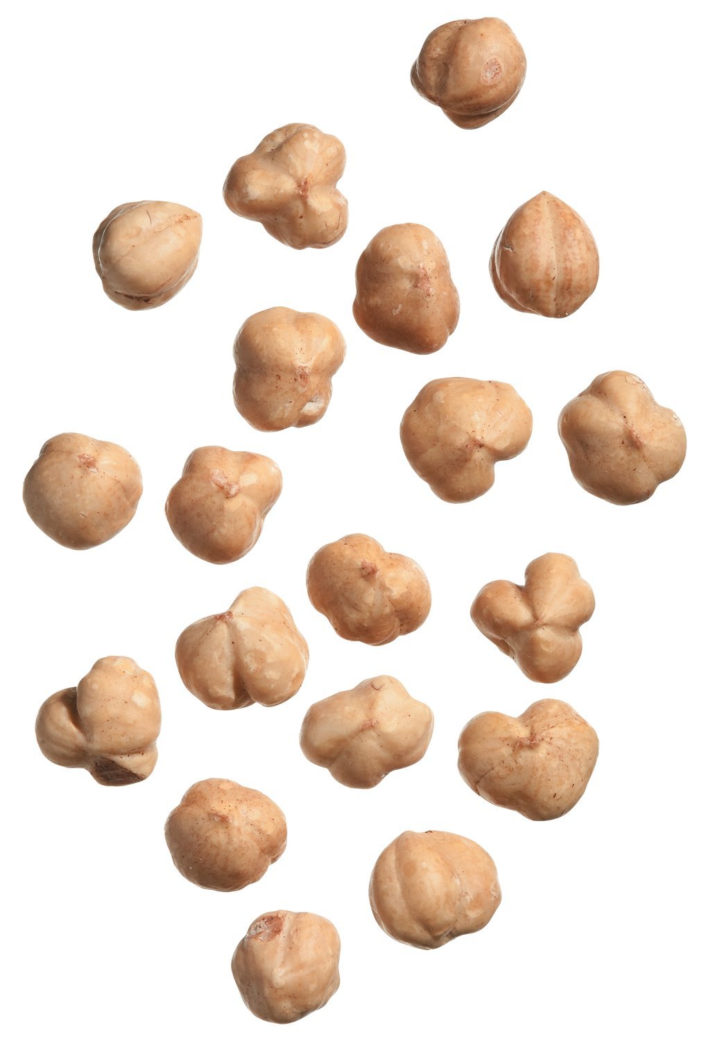 Haselnüsse aus dem Piemont geröstet. Haselnusskerne ganz premium Qualitätsware Natural. Terra delle Nocciole 500 g