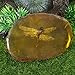 Amber,Artificial Amber Specimen Pendant Butterfly Scorpions Insects Amber Stone Ornament for Collection(Dragonfly)