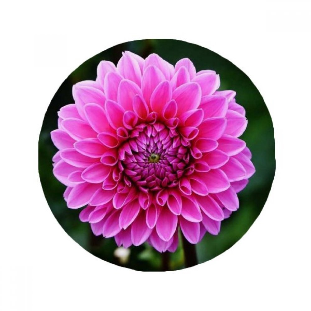 Tapis de sol antidérapant rose 80cm pour éviter les glissades en salle de bain
