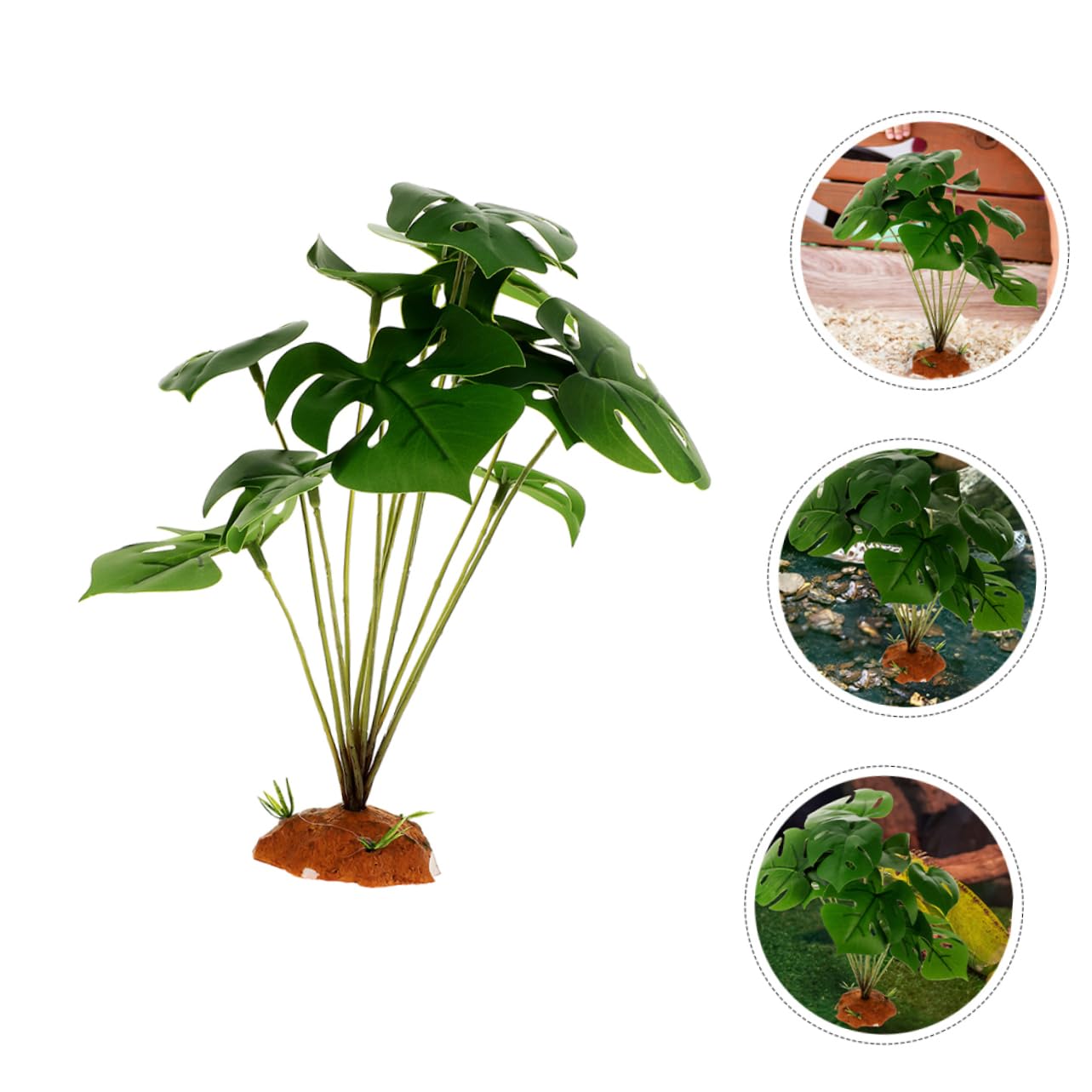 SUPVOX 5pezzi Decorative Per Terrario e Serbatoio Rettile Habitat Simulato Decorazione Per Accessorio Per e Rettili Realistico