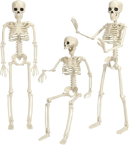 Esqueleto de Halloween con forma de calabaza de payaso de cuerpo completo, decoración de esqueleto con articulaciones móviles, espeluznante