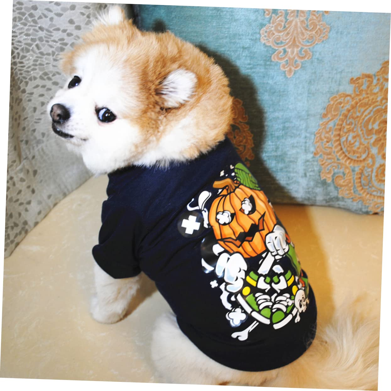ABOOFAN 6 Pz t-shirt per cani da compagnia di Halloween costume da zucca per cani gilet per halloween cane vestiti costumi per rifornimento dell'animale domestico di Halloween