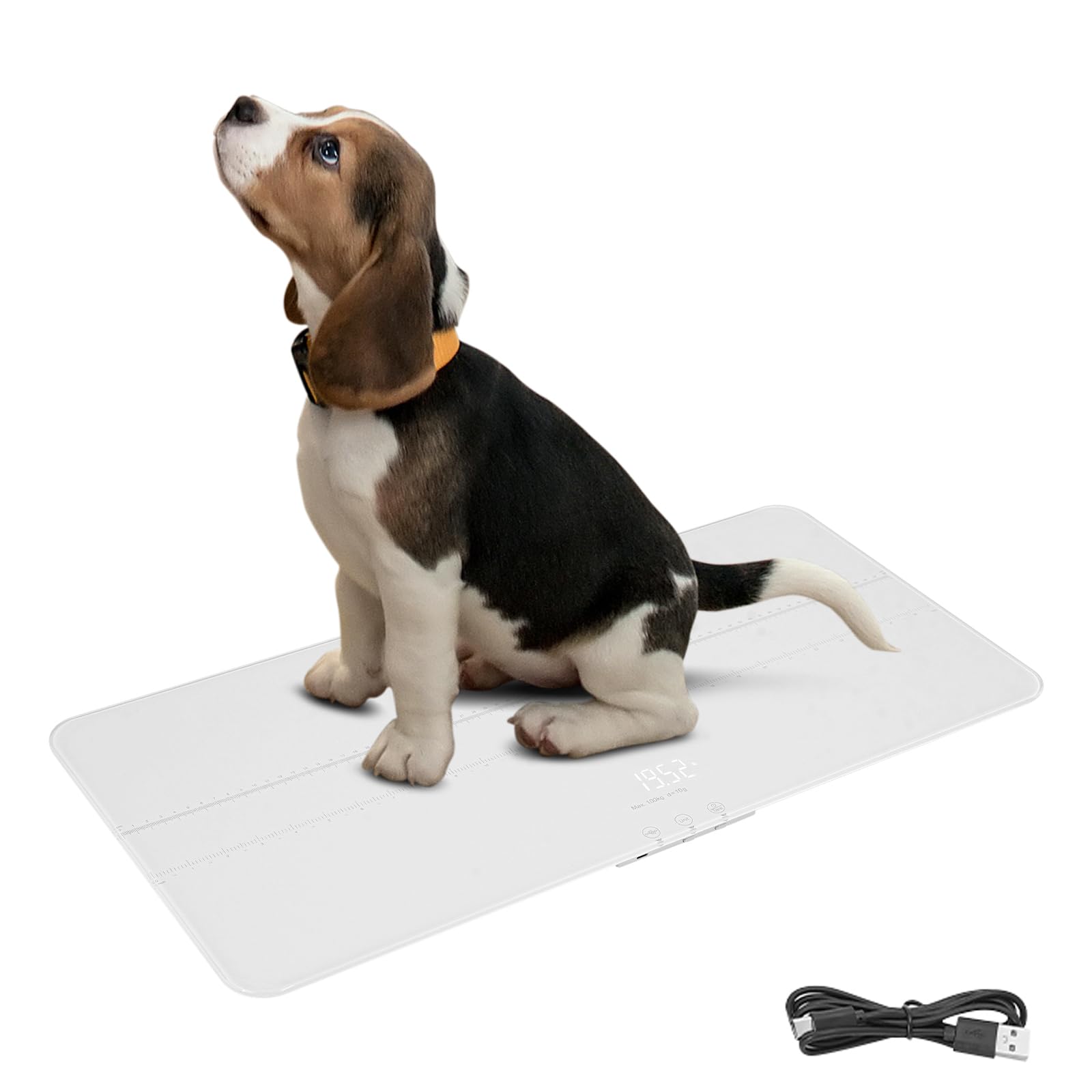 Digitale Haustierwaage für Hunde und Katzen, große Hundewaage, bis 100 kg / 220 lbs, 2 Wiegeeinheiten kg/lb, Tara-funktion, Kapazität mit einer Präzision von 10g, 69 x 33cm (Weiß)