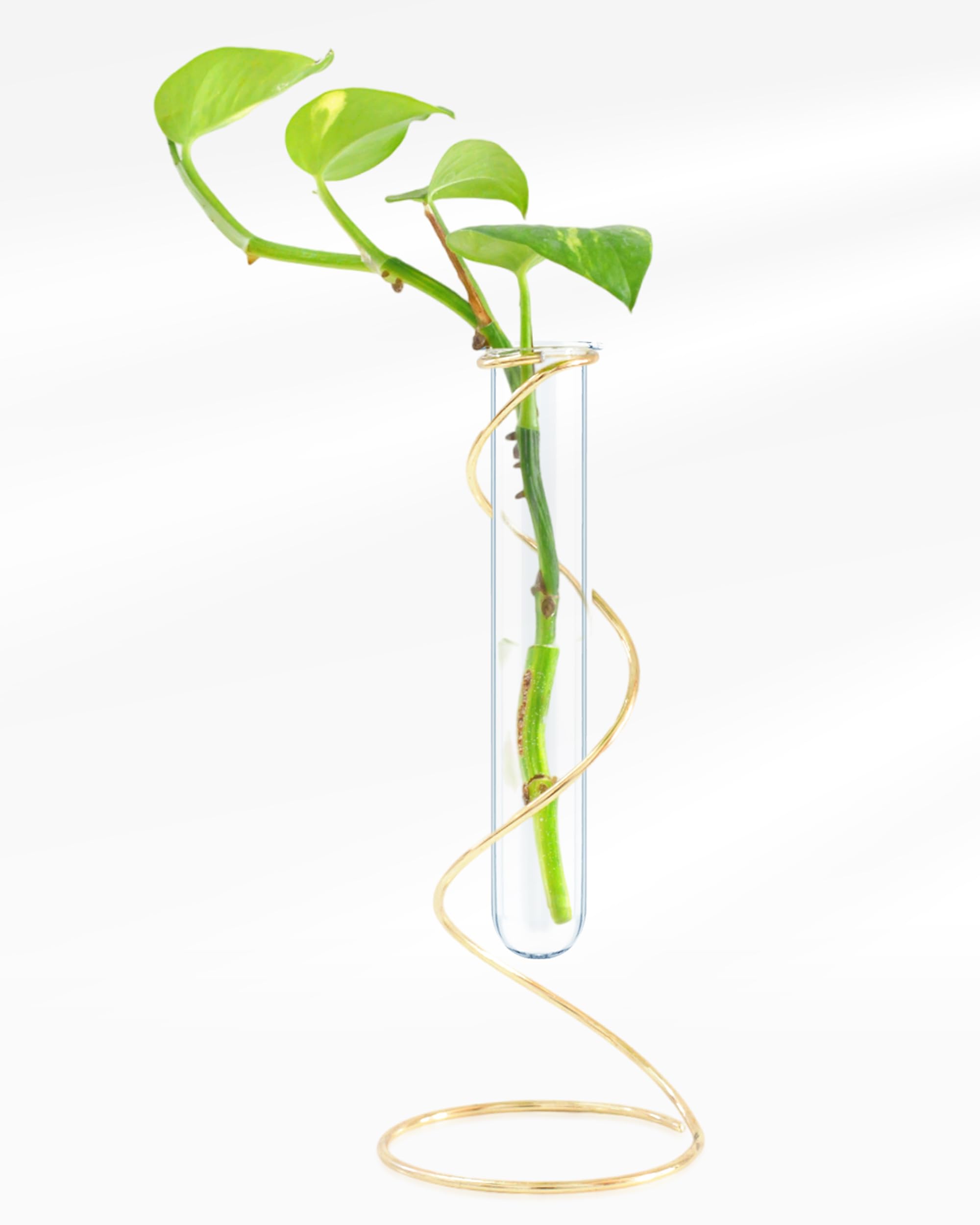 See full amazon price history chart for Lilpots - 8 Inch Twist Flora Test Tube Planter for Home, Office | Study Table | Home Decor Accessories for Indoor Plant | Metallic Glossy Finish (Brass Gold) Lilpots - 8 Inch Twist Flora Test Tube Planter for Home, Office | Study Table | Home Decor Accessories for Indoor Plant | Metallic Glossy Finish (Brass Gold) (B0CW34359M) Amazon Price History, Amazon Price Tracker
