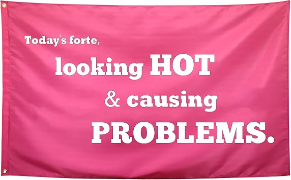 Looking Hot & Causing Problems Flag Pink Funny College Dorm for Girls Cool Girl for Bedroom Room Wall Meme Flags Banner 3x5Ft Indoor Outdoor Garden