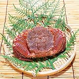 かにのマルマサ 北海道産 活毛ガニ 生 450g 1尾 チルド 冷蔵品