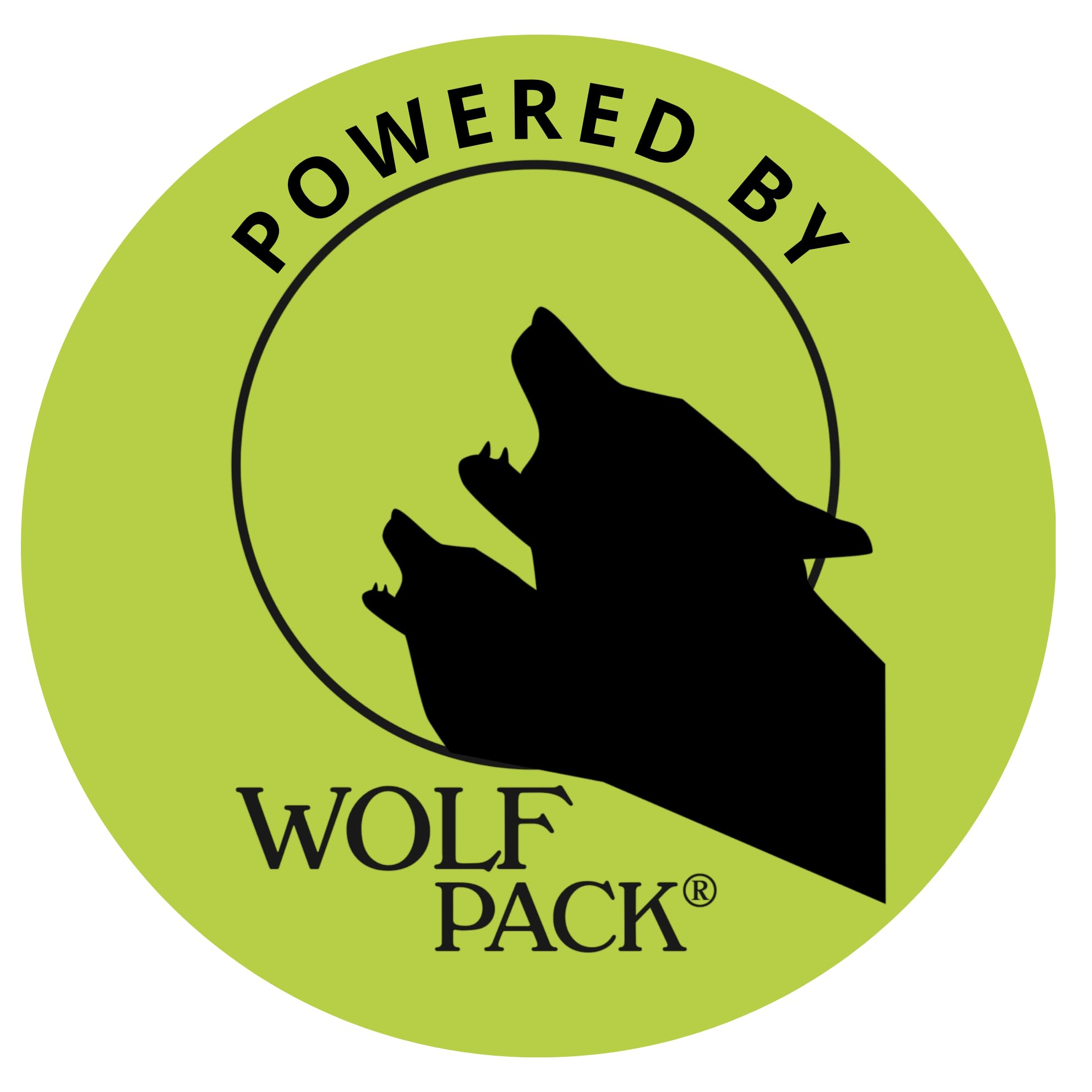 Generisch Fitness Dog Bone - Balance Pad & Wackelkissen - orthopädisches Hundetraining & Spiel - Trainingsgerät, Board, Kissen, Zubehör, Toy - inkl. Pumpe - für kleine & große Hunde