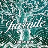 大雪海のカイナ