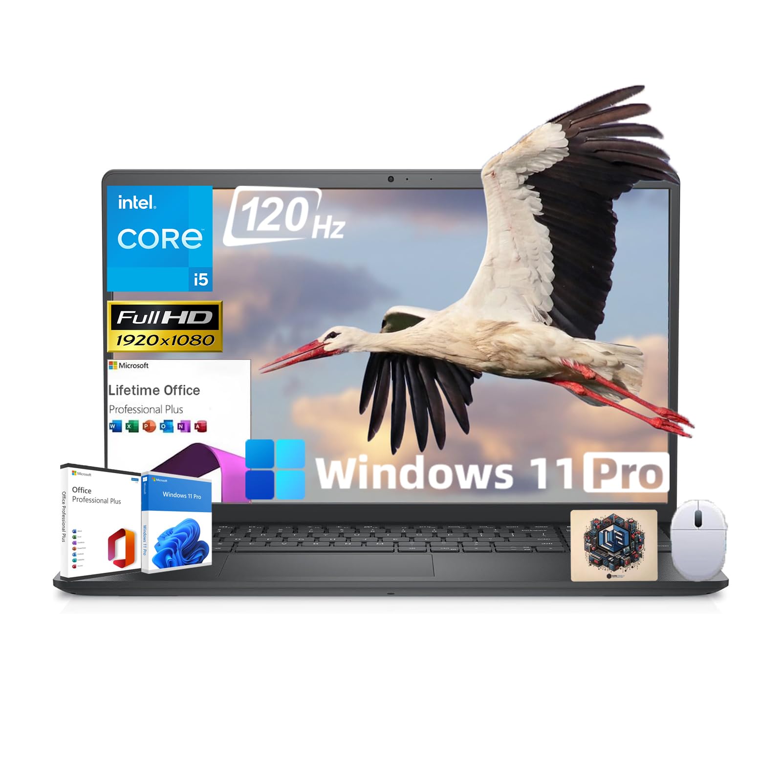 Amazon.com: Dell Inspiron-15 Laptop for Business and Student