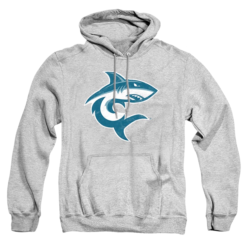 LOGOVISION Official Collegiate Distressed Primary Logo Adult Pullover Hoodie Collection — view 295