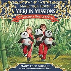 A Perfect Time for Pandas cover art