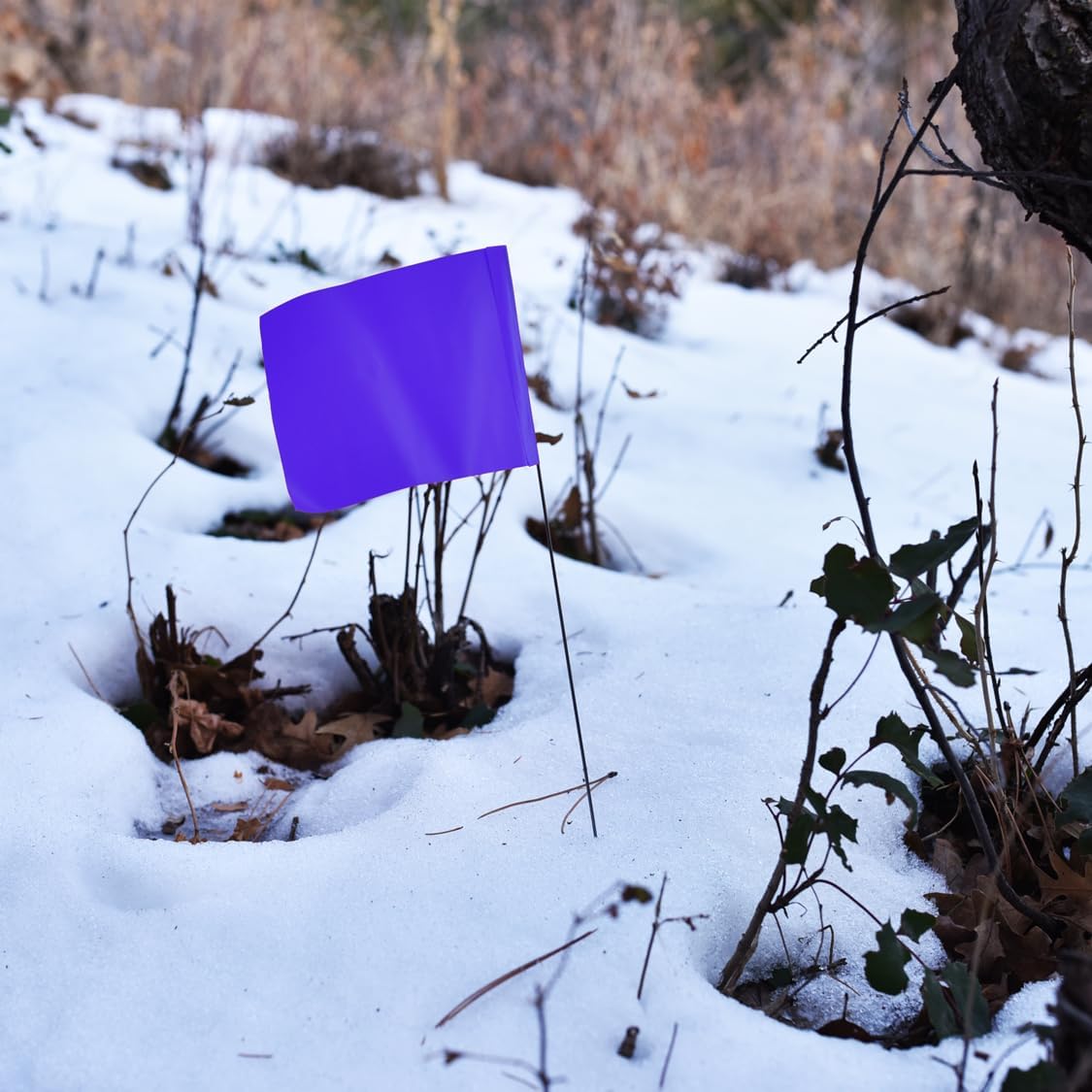 Purple Marking Flags 100 Pack - 4x5x30 Inch Purple Flags for Yard - Markers For Lawn, Irrigation, Landscaping, Survey & Sprinkler Head Marking