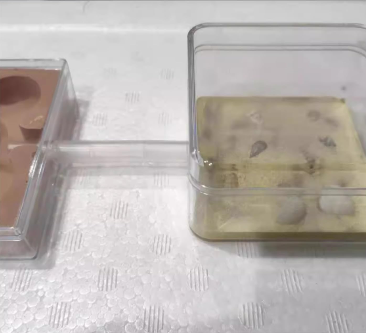 Ant Farm Ant Castle Easy to Install Nest Farm Watch Ants Dig Their Own Tunnels for Adults Habitat(Brown)