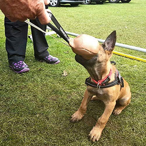 Dingo Gear S02784 Hundespielzeug, weiches Echtleder, mit Griff für das Bisstraining, Ø 8 cm, zufällige Auswahl