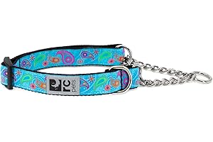RC Pets 1" Martingale Training Collar for Pet Dogs, Tropical Paisley