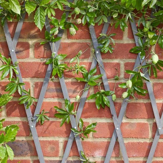 Smart Garden Heavy Duty Expanding Garden Trellis - Slate 1.8 x 0.6m (4011048)