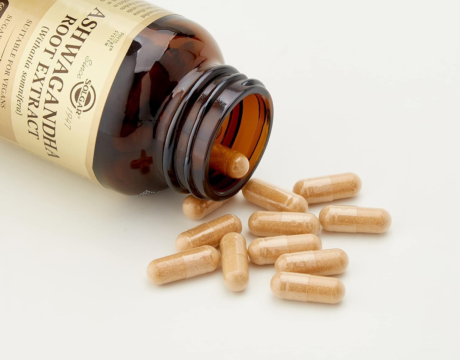 Solgar Standardized Full Potency Ashwagandha Root Extract Vegetable Capsules, 60 Count