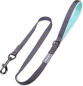 Halti BRIG Sicherheitsleine Für Große Hunde - 1,5m Mit Super-Karabiner