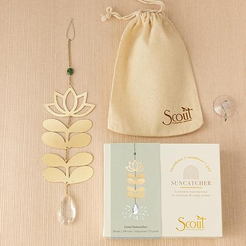 Miniatura 4 de Atrapasoles - LotusTurquesa africana