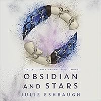 Algopix Similar Product 13 - Obsidian and Stars