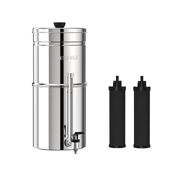 ICEPURE 2.25G Gravity-fed Water Filter System with Sight Glass Spigot, 304 Stainless Steel Countertop System, 2 Black Carbon Filters, Reduce 99% Chlorine, Lead for Home, Camping, Emergencies